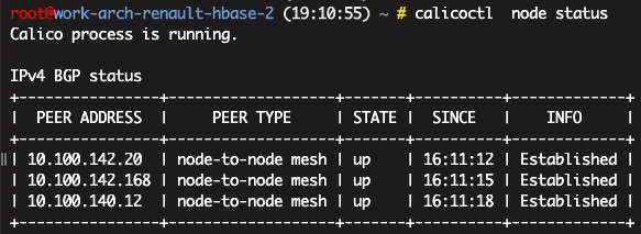 BGP Peer