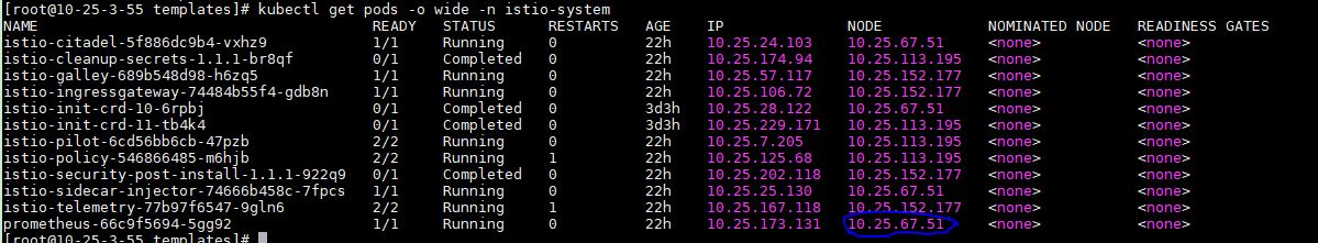 Prometheus所在的Node