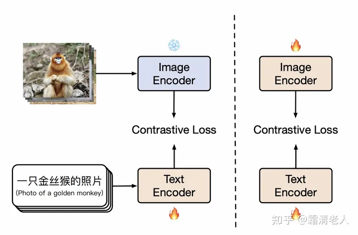 chinese-clip.webp